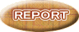 REPORT 
